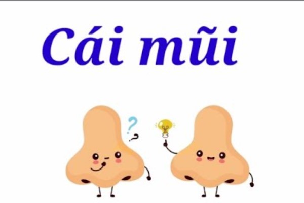 Nội dung và ý nghĩa của bài hát