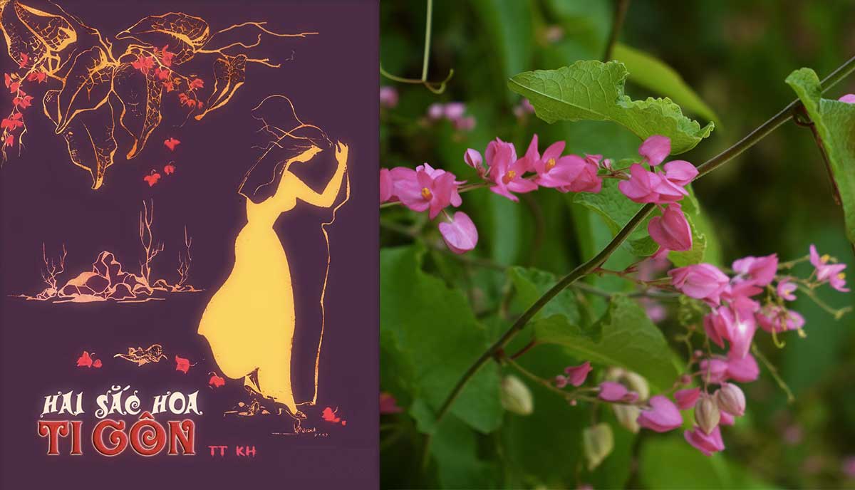 Hơn tám mươi năm trôi qua, người yêu thơ vẫn day dứt tự hỏi về tác giả thực sự của “Hai sắc hoa Ti-gôn”