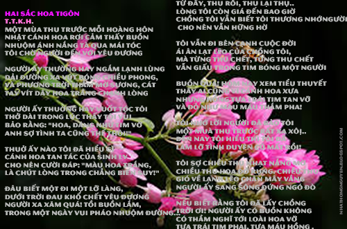 Thông tin về Hai sắc hoa Ti-gôn